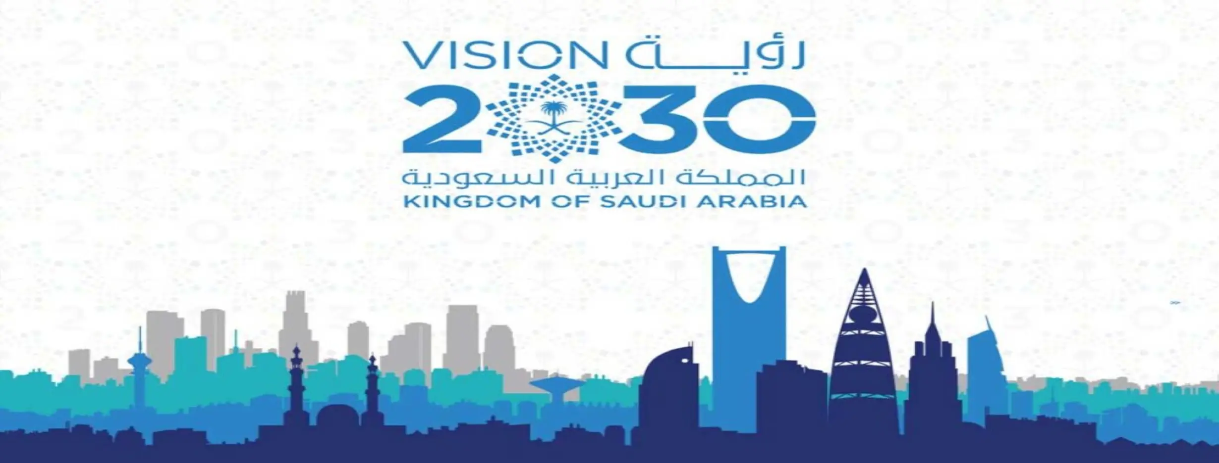 Image for Vision 2030